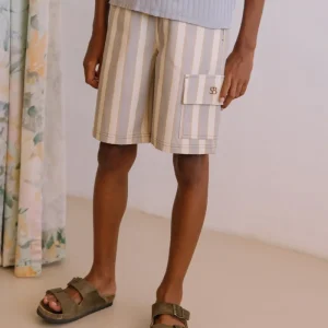 Bermuda Cargo Rayures Bleu Gold