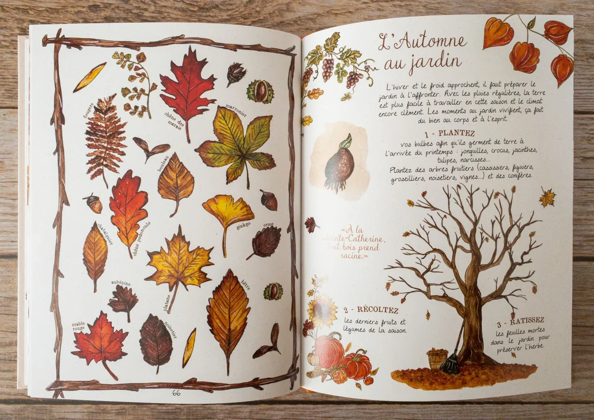 Mon Automne Cosy - Caro From Woodland – Image 4