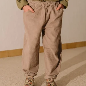 Pantalon Carrot Corderoy Mauve pâle