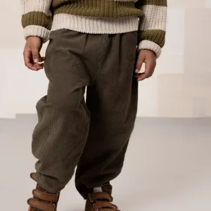 Pantalon Carrot Corderoy Taupe foncé