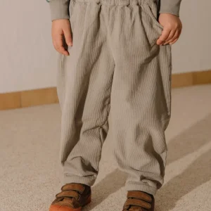 Pantalon Carrot Corderoy Gris