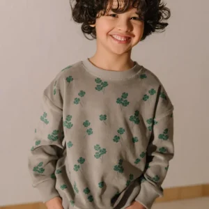 Sweat-shirt Bart Velvet gris trèfles