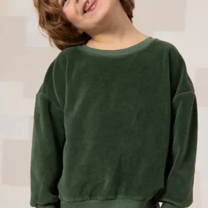 Sweat-shirt Bart Velvet Vert cilantro