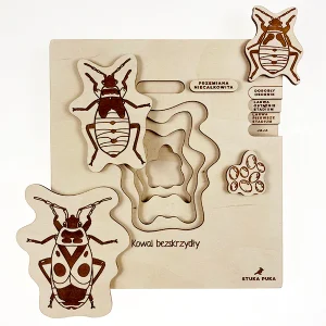 Puzzle Cycle de vie du Gendarme