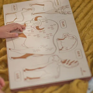 Puzzle Nos amis de la forêt