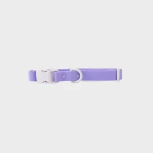 COLLIER POUR CHIEN WATERPROOF - BICOLORE LILAS / GRIS