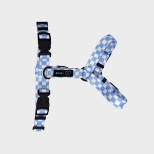 HARNAIS STRAP (EN Y) POUR CHIEN - JUNO VICHY BLEU