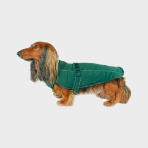 MANTEAU POUR CHIEN FACILE À ENFILER - VERT ÉMERAUDE