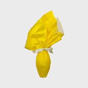 OEUF DE PÂQUES POUR CHIEN À LA VANILLE (SANS CHOCOLAT !) 🐰