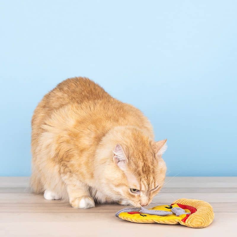 JOUET POUR CHAT À L’HERBE À CHAT - PIZZA AUX ANCHOIS 🍕 – Image 3