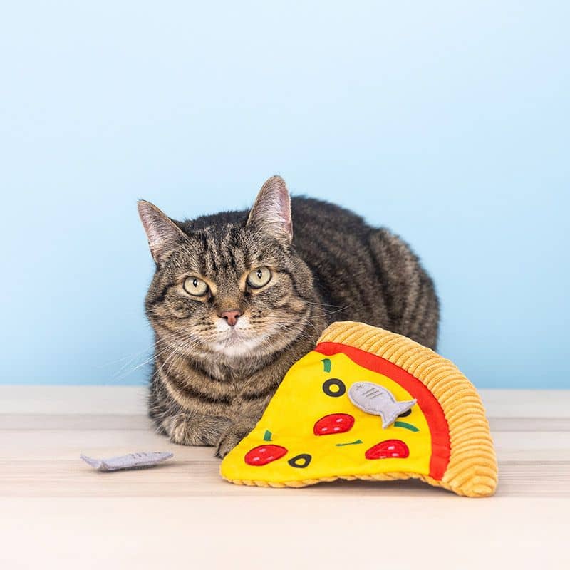 JOUET POUR CHAT À L’HERBE À CHAT - PIZZA AUX ANCHOIS 🍕 – Image 6