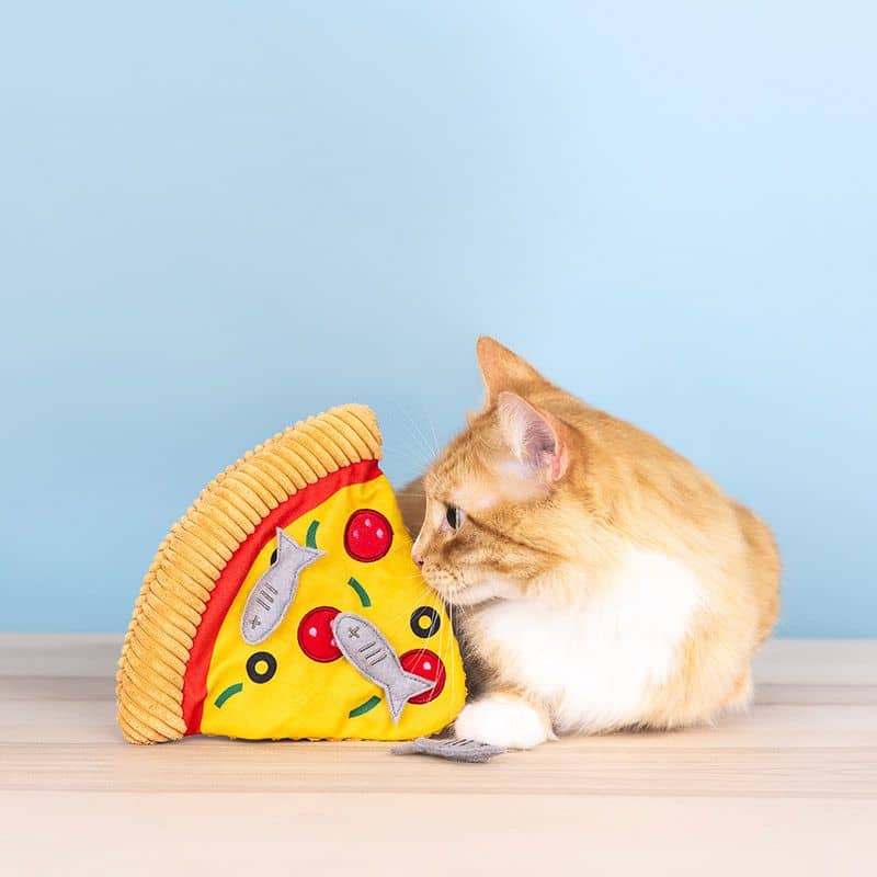 JOUET POUR CHAT À L’HERBE À CHAT - PIZZA AUX ANCHOIS 🍕 – Image 4