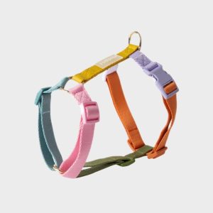 🆕 HARNAIS STRAP (EN H) POUR CHIEN - RAINBOW 🌈