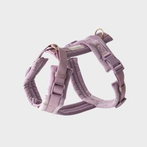 HARNAIS EN VELOURS EN H POUR CHIEN - MAUVE PARME "LILAC VELVET"