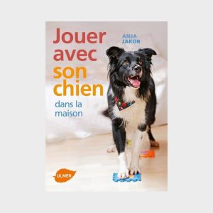 JOUER AVEC SON CHIEN DANS LA MAISON : TOURS, JEUX ET ACTIVITÉS LUDIQUES PAR ANJA JAKOB