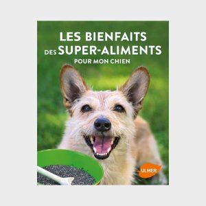 LES BIENFAITS DES SUPER-ALIMENTS POUR MON CHIEN PAR VALENTINA KURSCHEID