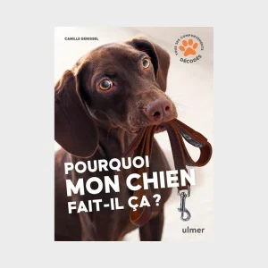 POURQUOI MON CHIEN FAIT-IL ÇA ? PAR CAMILLE GENISSEL