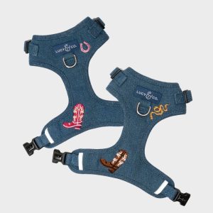 HARNAIS AJUSTABLE DENIM POUR CHIEN - COWBOY & COWGIRL 🤠