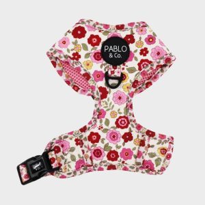 HARNAIS POUR CHIEN IMPRIMÉ - PRIMROSE 🌸
