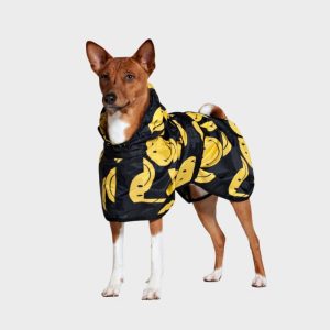 IMPERMÉABLE PONCHO POUR CHIEN - ALL SMILES SMILEY
