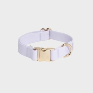 COLLIER POUR CHIEN WATERPROOF - LAVANDE