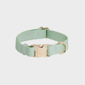 COLLIER POUR CHIEN WATERPROOF - PISTACHE