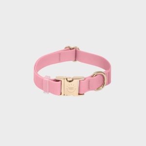 COLLIER POUR CHIEN WATERPROOF - ROSE