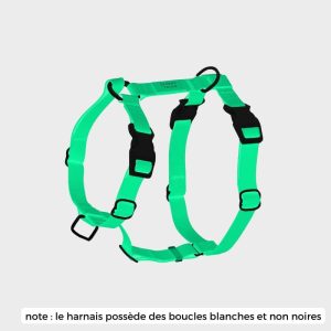 HARNAIS POUR CHIEN WATERPROOF - PHOSPHORESCENT LUNAR GLOW *BOUCLES COULEURS*