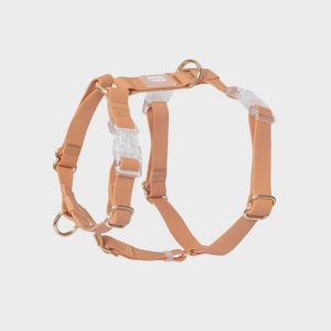 HARNAIS POUR CHIEN WATERPROOF - MARRON CHAI *BOUCLES TRANSPARENTES*