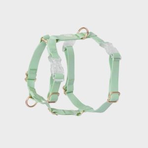 HARNAIS POUR CHIEN WATERPROOF - PISTACHE *BOUCLES TRANSPARENTES*