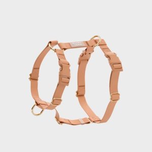 🆕 HARNAIS POUR CHIEN WATERPROOF - MARRON CHAI *BOUCLES COULEURS*