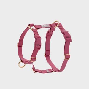 🆕 HARNAIS POUR CHIEN WATERPROOF - FRAMBOISE *BOUCLES COULEURS*