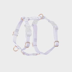 HARNAIS POUR CHIEN WATERPROOF - LAVANDE *BOUCLES TRANSPARENTES*