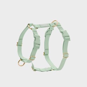 🆕 HARNAIS POUR CHIEN WATERPROOF - PISTACHE *BOUCLES COULEURS*