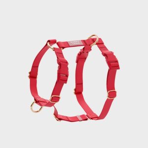 🆕 HARNAIS POUR CHIEN WATERPROOF - ROUGE CERISE *BOUCLES COULEURS*