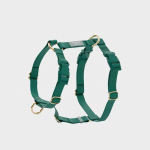 🆕 HARNAIS POUR CHIEN WATERPROOF - VERT *BOUCLES COULEURS*