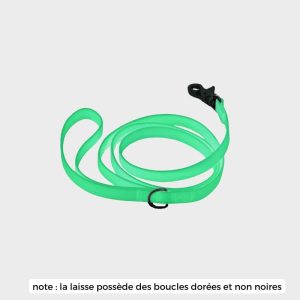 LAISSE POUR CHIEN WATERPROOF - PHOSPHORESCENT LUNAR GLOW