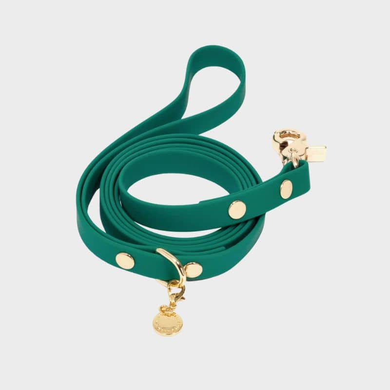 LAISSE POUR CHIEN WATERPROOF - VERT – Image 2