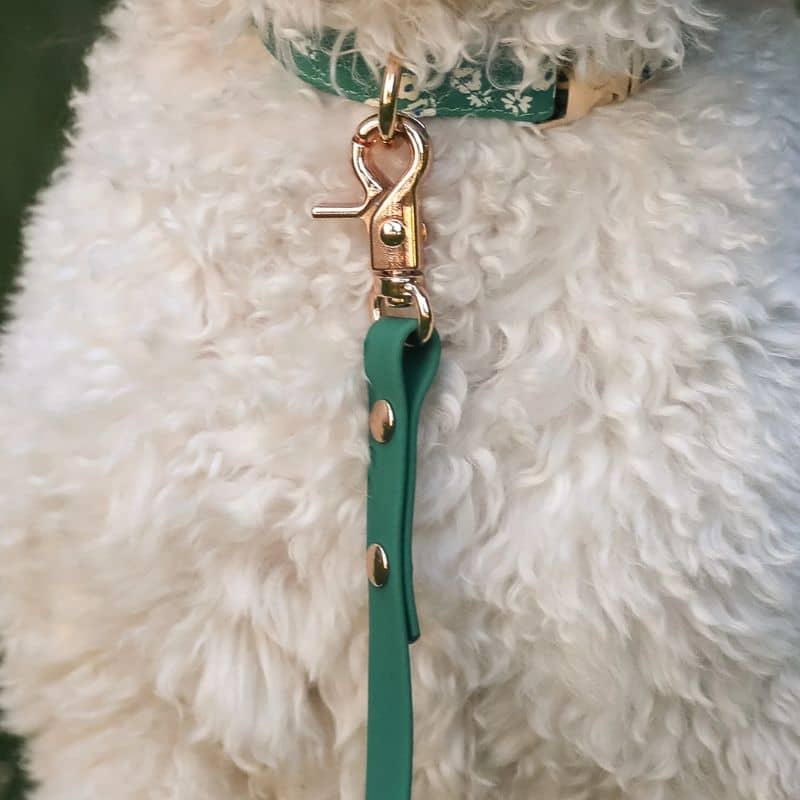 LAISSE POUR CHIEN WATERPROOF - VERT – Image 4