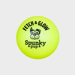 BALLE PHOSPHORESCENTE POUR CHIEN TAILLE M - FETCH & GLOW (BRILLE DANS LE NOIR)