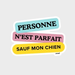 STICKER - PERSONNE N'EST PARFAIT SAUF MON CHIEN